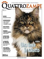 Quattrozampe